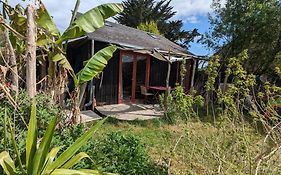 Cabane